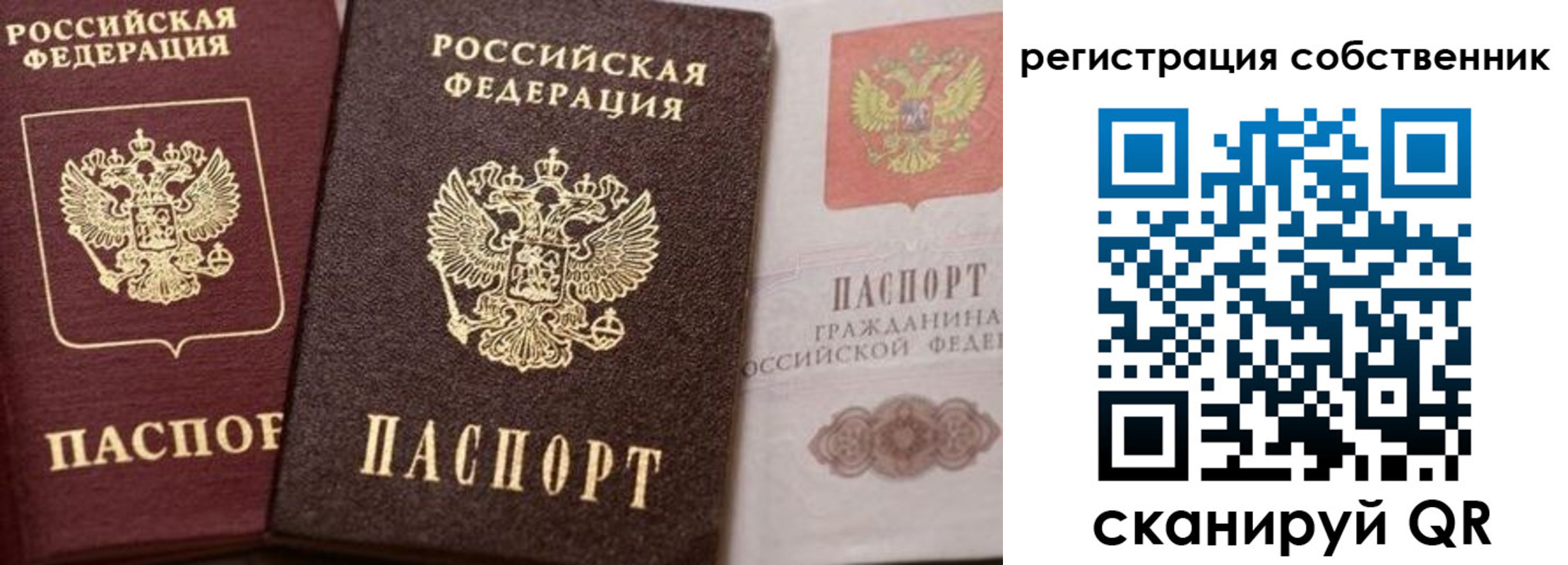 прописка ребенка в Клинцах